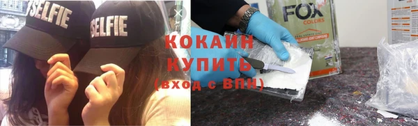 apvp Щигры