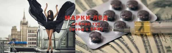 apvp Щигры