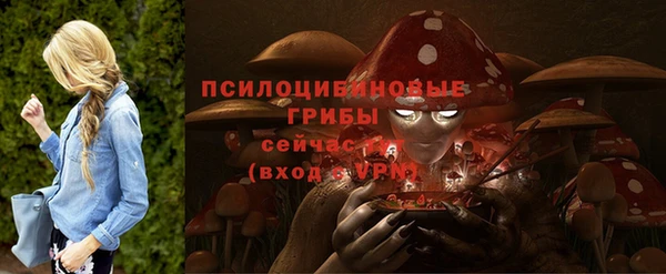 apvp Щигры