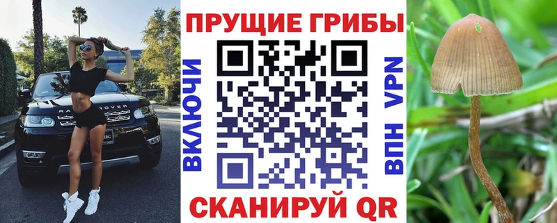 Галлюциногенные грибы мицелий  Вольск 