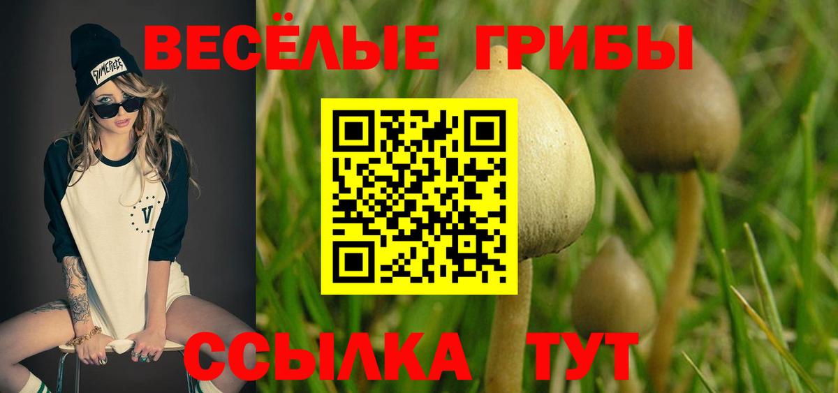 Псилоцибиновые грибы Psilocybine cubensis  Вольск  Галлюциногенные грибы мухоморы 
